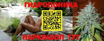 гидра Моздок