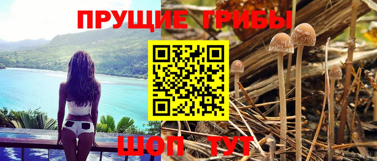 Псилоцибиновые грибы ЛСД  Вход с VPN  Гай 
